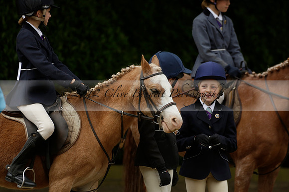 Wendy Sugden's pony show 2013.06.09