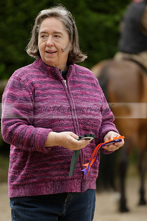 Wendy Sugden's pony show 2013.06.09 Grangefields Riding School