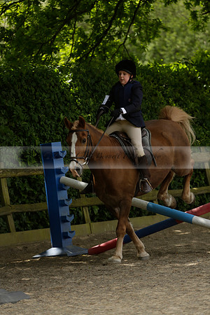 Wendy Sugden's pony show 2013.06.09 Grangefields Riding School