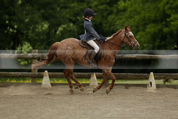 Wendy Sugden's pony show 2013.06.09