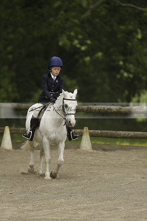 Wendy Sugden's pony show 2013.06.09