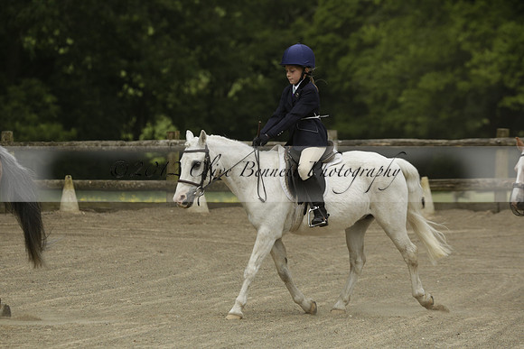 Wendy Sugden's pony show 2013.06.09
