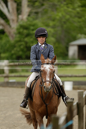 Wendy Sugden's pony show 2013.06.09