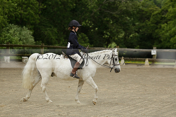 Wendy Sugden's pony show 2013.06.09