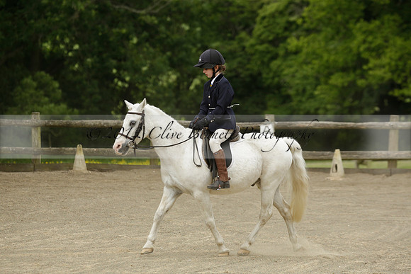 Wendy Sugden's pony show 2013.06.09