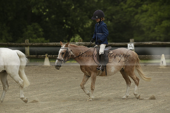 Wendy Sugden's pony show 2013.06.09