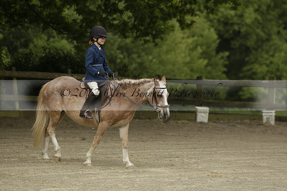 Wendy Sugden's pony show 2013.06.09