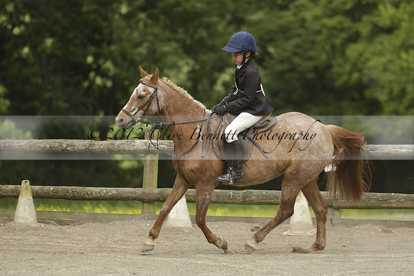 Wendy Sugden's pony show 2013.06.09