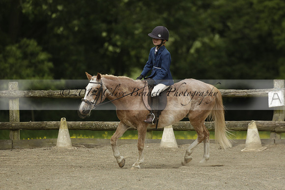 Wendy Sugden's pony show 2013.06.09