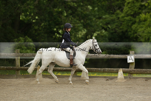Wendy Sugden's pony show 2013.06.09