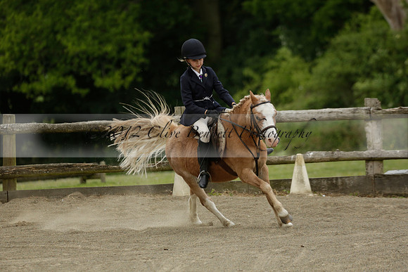 Wendy Sugden's pony show 2013.06.09