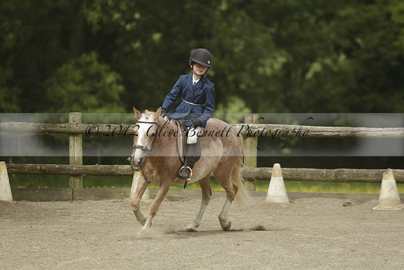 Wendy Sugden's pony show 2013.06.09