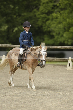 Wendy Sugden's pony show 2013.06.09