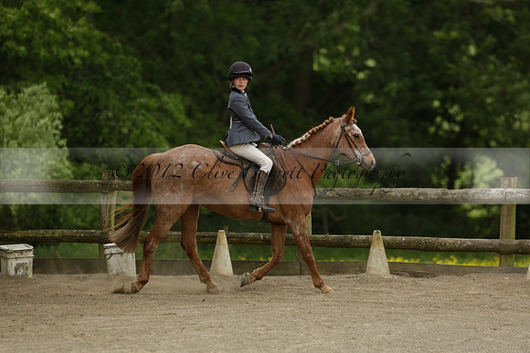Wendy Sugden's pony show 2013.06.09