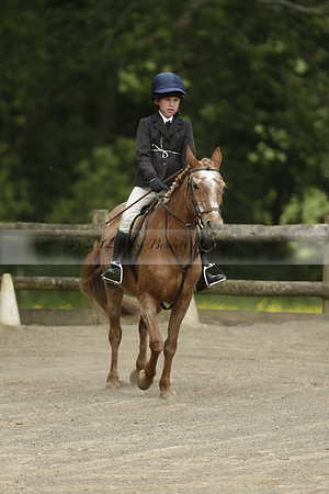 Wendy Sugden's pony show 2013.06.09