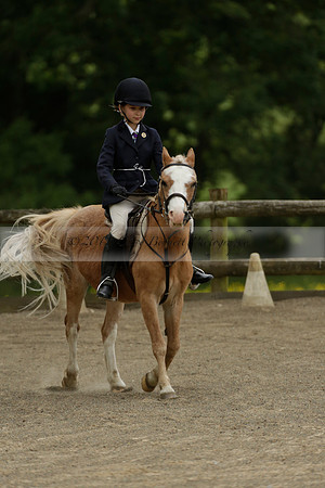 Wendy Sugden's pony show 2013.06.09