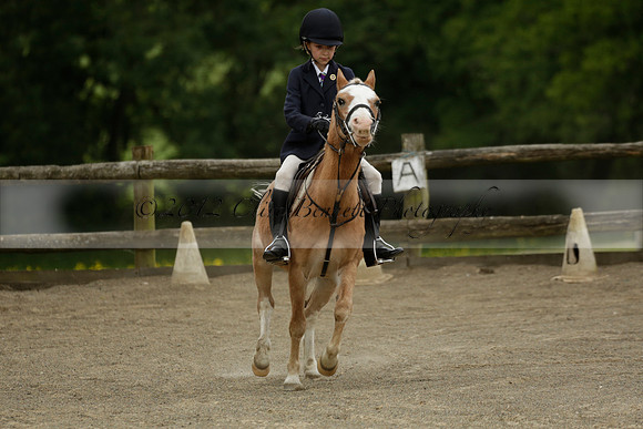 Wendy Sugden's pony show 2013.06.09