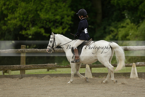 Wendy Sugden's pony show 2013.06.09