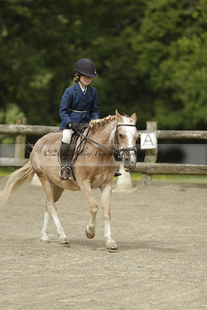 Wendy Sugden's pony show 2013.06.09