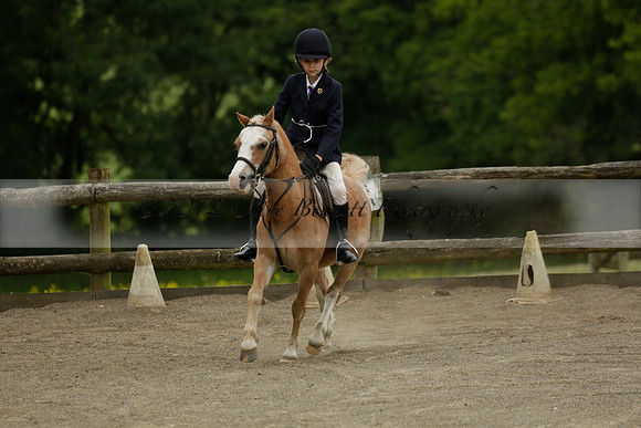 Wendy Sugden's pony show 2013.06.09