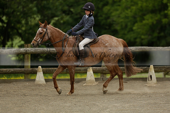 Wendy Sugden's pony show 2013.06.09
