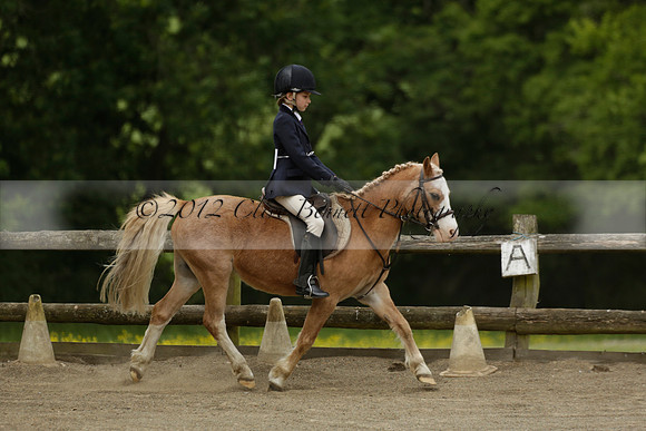 Wendy Sugden's pony show 2013.06.09