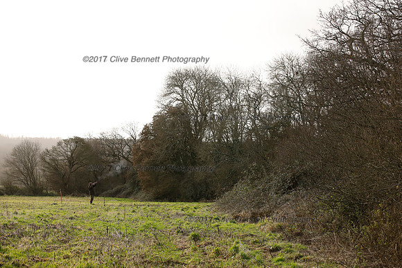 _CB_2513