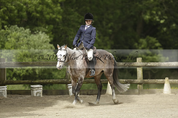 Wendy Sugden's pony show 2013.06.09