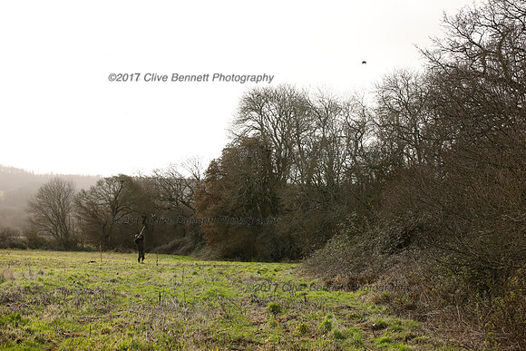 _CB_2517