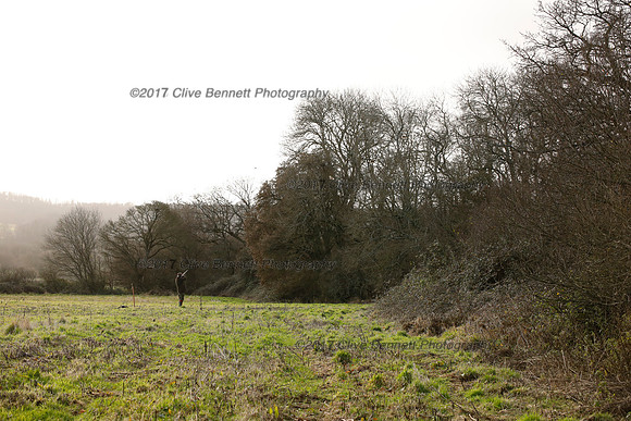_CB_2511