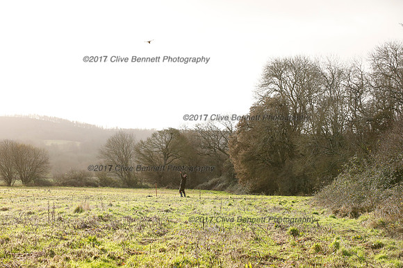 _CB_2538