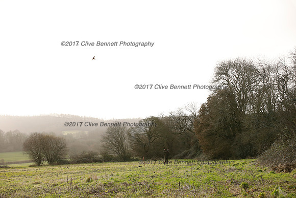_CB_2528