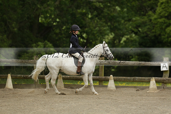 Wendy Sugden's pony show 2013.06.09