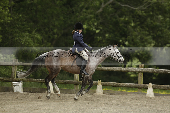 Wendy Sugden's pony show 2013.06.09