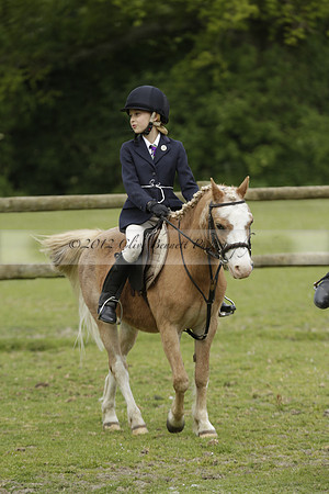 Wendy Sugden's pony show 2013.06.09