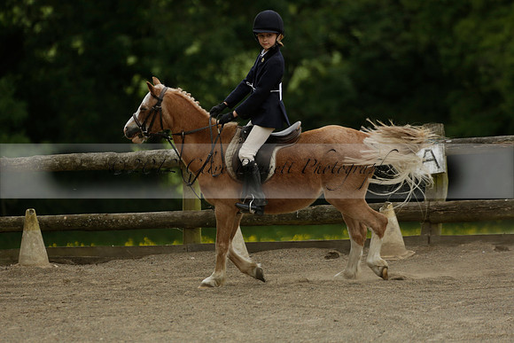 Wendy Sugden's pony show 2013.06.09