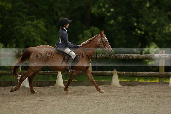 Wendy Sugden's pony show 2013.06.09