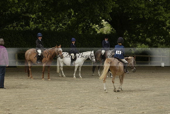 Wendy Sugden's pony show 2013.06.09