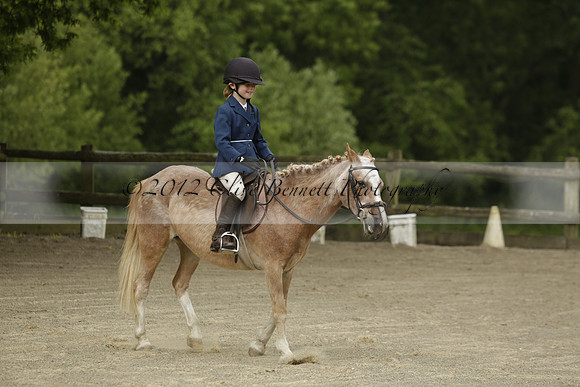 Wendy Sugden's pony show 2013.06.09