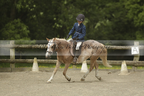 Wendy Sugden's pony show 2013.06.09