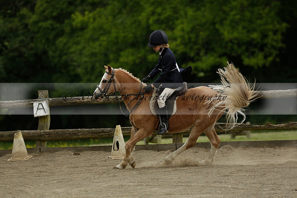 Wendy Sugden's pony show 2013.06.09