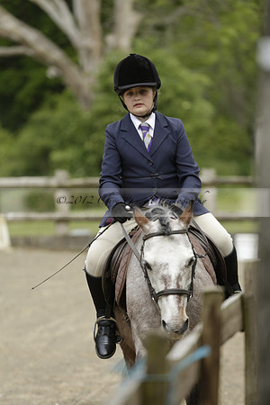 Wendy Sugden's pony show 2013.06.09