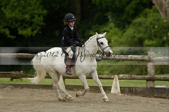 Wendy Sugden's pony show 2013.06.09