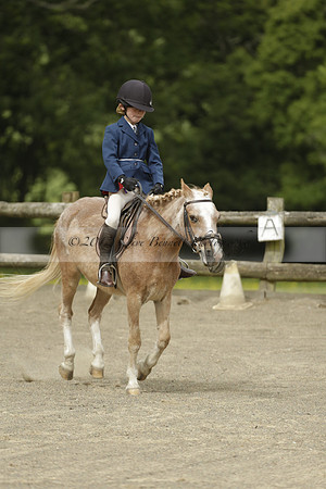 Wendy Sugden's pony show 2013.06.09