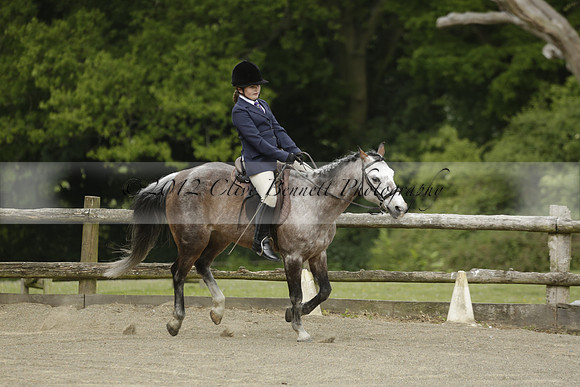 Wendy Sugden's pony show 2013.06.09