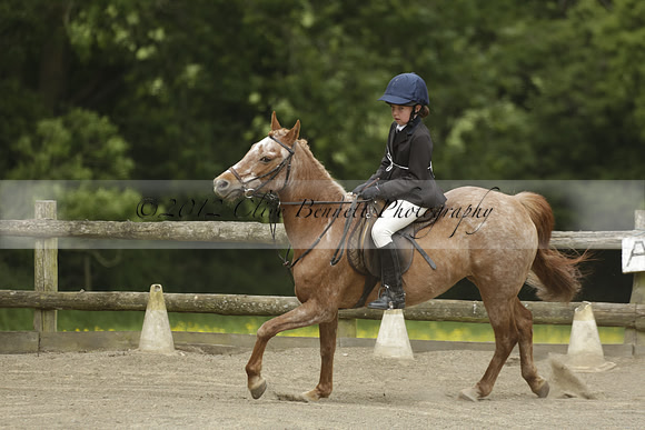 Wendy Sugden's pony show 2013.06.09