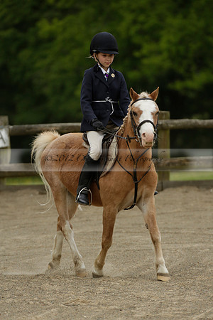 Wendy Sugden's pony show 2013.06.09