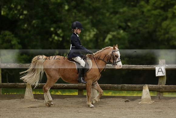 Wendy Sugden's pony show 2013.06.09