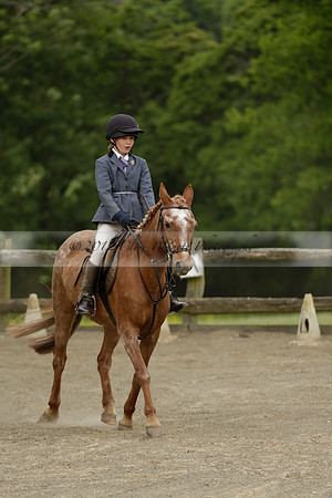 Wendy Sugden's pony show 2013.06.09