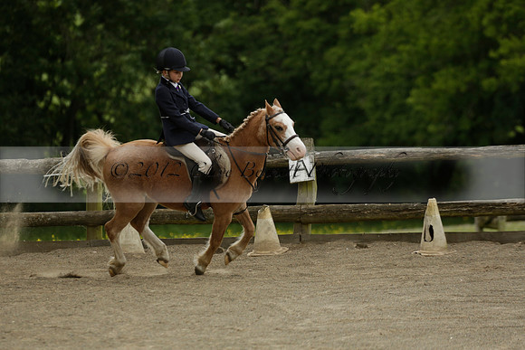 Wendy Sugden's pony show 2013.06.09